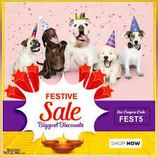 Whether you are looking for pet supplies, dog and cat foods, leashes, cages or pet meds, some amazing discounts are waiting for you. Cute Cats In The World Dog Friends Buy Pets Bird Supplies
