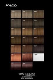 Beth Minardi Color Conversion Chart 191 Best Joico In