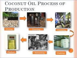 Jarang industri besar yang berminat mengembangkan. 7 Proses Pembuatan Minyak Goreng Kelapa Sawit Ilmugeografi Com