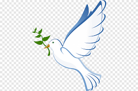 Check spelling or type a new query. Columbidae Doves As Symbols Peace Symbols Drawing Flying Hope White Leaf Png Pngegg
