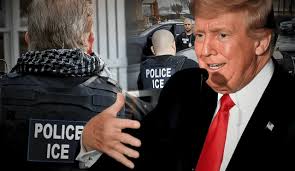Golpe durísimo para Donald Trump: estos son los 3 documentos que los  inmigrantes deben presentar al ICE para evitar la deportación en Estados  Unidos
