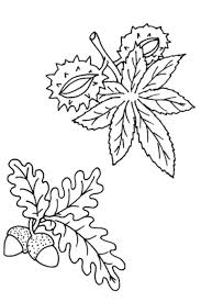 Eiche Malvorlage Coloring And Malvorlagan