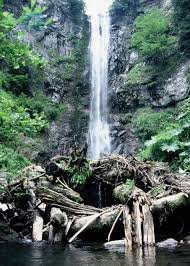 Jul 03, 2021 · samsun'da bulunan eşsiz güzellikteki kabaceviz şelaleleri hem göze hem de kalbe hitap ediyor. Artvin Selale Waterfall Water Forms Travel