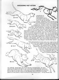 Here presented 54+ animal drawing pdf images for free to download, print or share. 24324116 Drawing Jack Hamm How To Draw Animals Pdf Txt