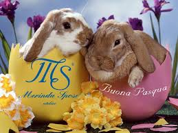 La pasqua è resurrezione, che possa esserci anche nel tuo cuore e liberarlo dalla morte che ti porti dentro, possa tu rinascere in libertà e pace. Buona Pasqua Merinda Spose Atelier Vetralla Abiti Da Sposa Viterbo Collezioni 2021 2022 Cerimonia Damigella Accessori Vestiti
