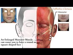 Oval faces have a slightly elongated shape. Can You Change The Shape Of Your Face Thehealthsite Com
