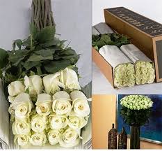 Maybe you would like to learn more about one of these? Roses 28 Inches Length Amazon Flowers Proms Weddings