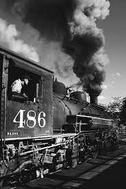 A361b332b1a9f52368cbbf973c79ccf8 Jpg 600 900 Train Train Tracks Model Trains