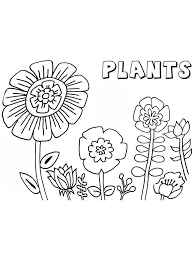 Hopefully you can make some time for you and relax while working on one of these flower adult. Pin On Plants