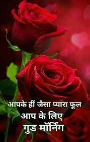 Such as png, jpg, animated gifs, pic art, logo, black and white, transparent, etc. Good Morning Pinterest Somnath Ram Anuragi Wish To Embress You God Bless You Pi Good Morning Quotes Good Morning Beautiful Pictures Good Morning Flowers