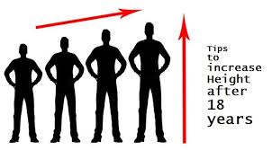 Image result for increase height