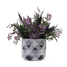 We did not find results for: China Four Seasons Evergreen Landscape Green Plant Small Bonsai Potted Plant Indoor Office Desktop China Decorative Artificial Greenery Potted And Potted Plant Price