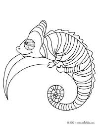 Some of the mandala chameleon clipart to color can get quite complex. Chameleon Coloring Pages Veiled Chameleon Animal Coloring Pages Animals Coloring Pages Coloring Pages
