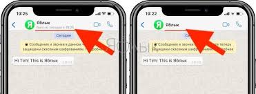 Chernyj Spisok Whatsapp Ili Kak Zablokirovat Kontakt Podrobnaya Instrukciya Yablyk
