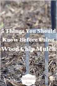 5 Things You Should Know About Wood Chip Mulch Wood Chip Mulch Garden Mulch Mulching