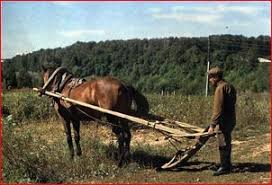 Image result for wooden plough