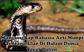 9 Arti Mimpi Digigit Ular Beserta Prediksi Angka Keluar Ikan Dan Laut