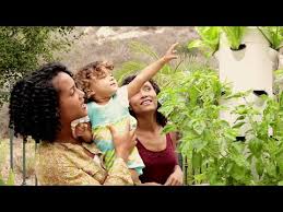 The tower garden is a state of the art, vertical, aeroponic garden that allows you to grow produce year round. Grow Your Own Fresh Food Year Round Tower Garden