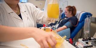Bei der plasmaspende fließt ihr blut zunächst in eine kleine zentrifuge, die es in seine bestandteile auftrennt. Plasma Spenden Geld Verdienen Therapie Medikamente Derstandard At Gesundheit