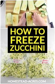 You can freeze zucchini whole, sliced, shredded and spiralized. How To Freeze Zucchini With Or Without Blanching Homestead Acres