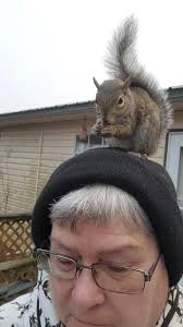 What is Pecan like in Animal Crossing?