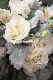 Beverly's of midway, winston salem, flowers winston salem. Yasmin Leonard Photography