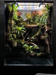 Fotografiya In 2020 Gecko Terrarium Garden Terrarium Chameleon Terrarium