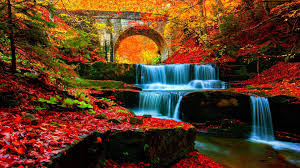 Fall Waterfall Wallpapers Top Free Fall Waterfall Backgrounds Wallpaperaccess 87 waterfall wallpapers (laptop full hd 1080p) 1920x1080 resolution. fall waterfall wallpapers top free
