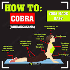 New Series Yoga Made Easy Cobra Pose Proper Form Share To Your Friends And Follow Fitnessgyan In Sanskrit Burn Calories Stimulation Increase Flexibility