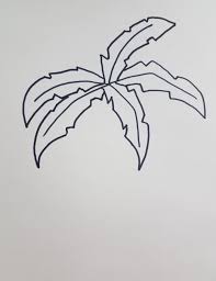 Use the below picture as a guide. How To Draw Palm Trees Beginner Art Tutorial Art By Ro