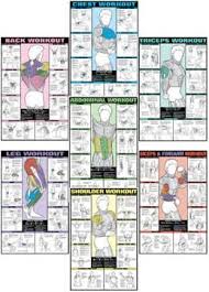 Free Exercise Charts Posters Fitnus Chart Series Ii Gym