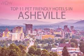 Top 11 Pet Friendly Hotels In Asheville Nc 2020 Wow Travel