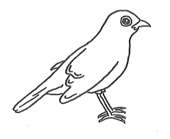 free bird coloring pages for your kids ausmalbilder vogel vogel malvorlagen kostenlose ausmalbilder
