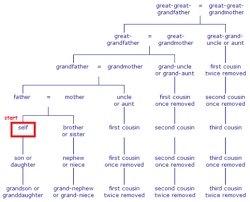 Finally A Chart Explaining Who Your Second Cousin Twice