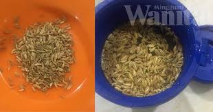 Jintan merupakan tanaman obat keluarga yang dimanfaatkan biji dari bunganya. Air Jintan Manis Rahsia Perut Kempis Lepas Seminggu Boleh Nampak Kesannya Mingguan Wanita