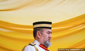 Enagic wishes all malaysian happy holiday.! Malaysiakini Functions For Agong S Birthday At Istana Negara Cancelled