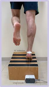 The hakan alfredson's heel drop protocol involves this is a lot more than most achilles rehab programs would advocate. Platelet Rich Plasma Injection For Acute Achilles Tendon Rupture Path 2 Randomised Placebo Controlled Superiority Trial The Bmj