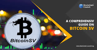 Buying services aim to make it easy to purchase small amounts of bitcoin. A Comprehensive Guide On Bitcoin Sv