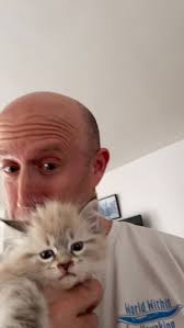 JAN 10!!! Herbert Holler’s Jams is New York’s hottest 2000s dance party!!!  158 Bleecker, 11p til!!! TWO FREE PASSES for January babies when you email  full name/bday/“jams” to ...