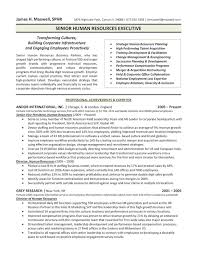 executive resume examples written