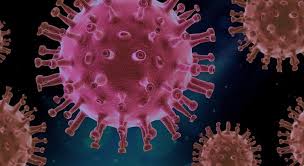 Herrero explicó que el virus permaneció en el aire el tiempo suficiente para. X0lbs7rnm2s8vm