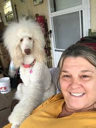 Hi! Susan and Sissy! New to the group! I just want to introduce Sissy! My 3  yo Standard apricot party Angel Puppy! Don't ever let anyone make you feel  any different about