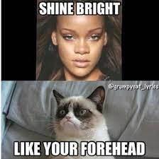 Funny Grumpy Cat Memes Frozen Grumpy Cat