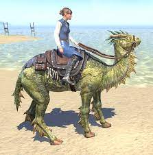 How to redeem bdo codes? Eso Fashion Camel Lizard Steed Elder Scrolls Online
