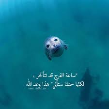 pin by maya mega on i love allah quran islam the prophet miracles hadith heaven prophets faith prayer dua حكم وعبر احاديث الله اسلام قرآن دعاء best quotes me quotes words