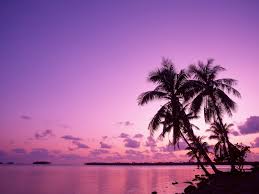 Te mostramos 25 fondos de pantalla en hd y wallpapers para que puedas descargarlos en tu pc y darle un aire distinto a tu ordenador. Playa Atardecer Playa Fondos De Pantalla De Paisajes Tumblr Novocom Top