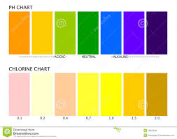 Ph And Chlorine Charts Stock Vector Illustration Of Acidic