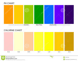 ph and chlorine charts stock vector illustration of acidic