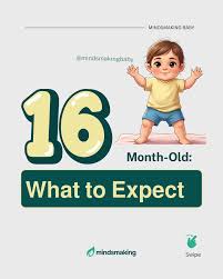 16-Month-Old Baby Development: ✨ Your 16-month-old is learning something  new almost every day — getting stronger, more curious, and more independent  by the minute. What little milestone or sweet moment made your