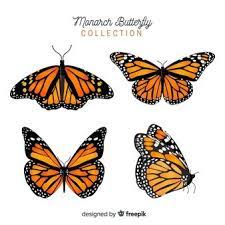 Mariposa Fotos Y Vectores Gratis Mariposas Monarca Dibujo Ilustracion De Mariposa Silueta De Mariposas
